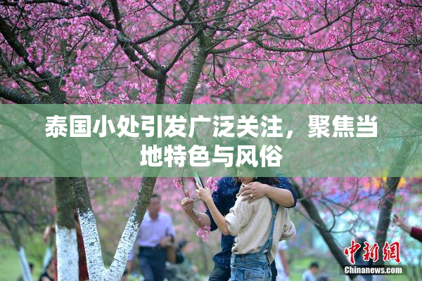 泰国小处引发广泛关注，聚焦当地特色与风俗
