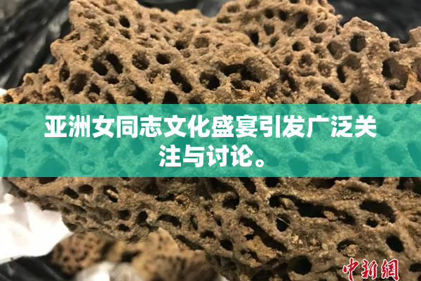 亚洲女同志文化盛宴引发广泛关注与讨论。