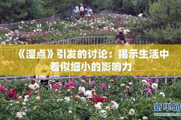 《湿点》引发的讨论：揭示生活中看似细小的影响力