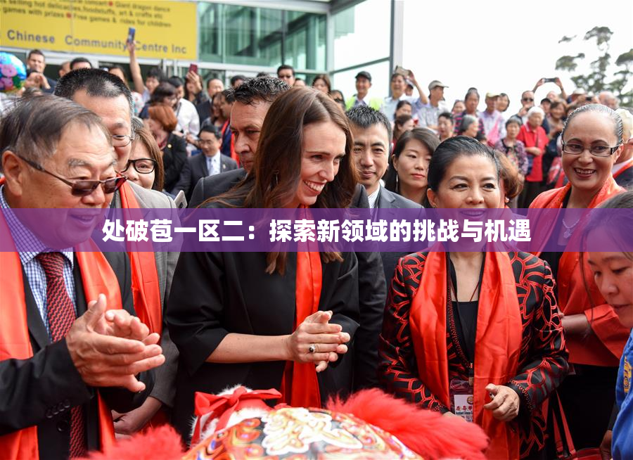 处破苞一区二：探索新领域的挑战与机遇