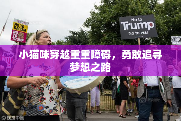 小猫咪穿越重重障碍，勇敢追寻梦想之路