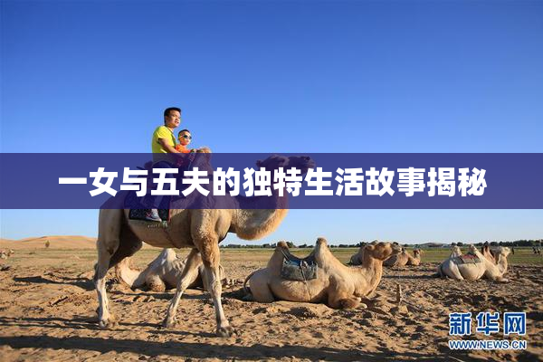 一女与五夫的独特生活故事揭秘