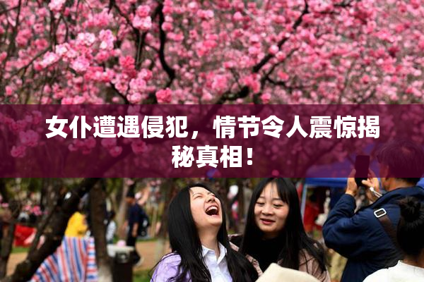女仆遭遇侵犯，情节令人震惊揭秘真相！
