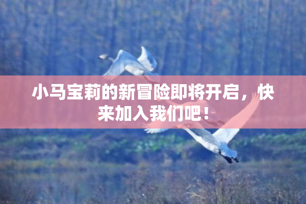 小马宝莉的新冒险即将开启，快来加入我们吧！