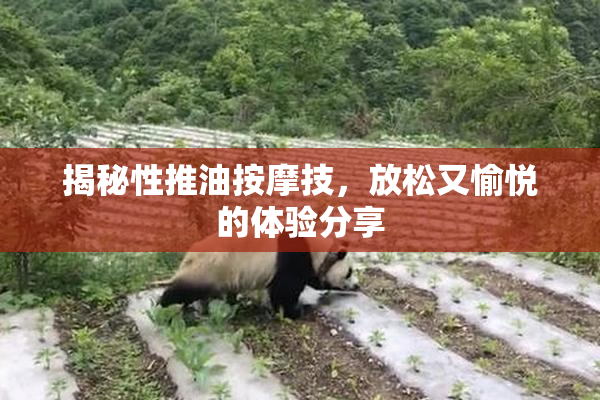 揭秘性推油按摩技，放松又愉悦的体验分享