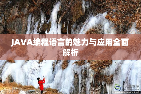 JAVA编程语言的魅力与应用全面解析