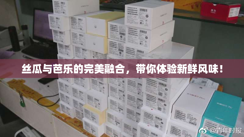 丝瓜与芭乐的完美融合，带你体验新鲜风味！