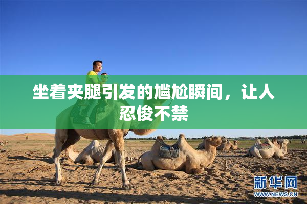坐着夹腿引发的尴尬瞬间，让人忍俊不禁