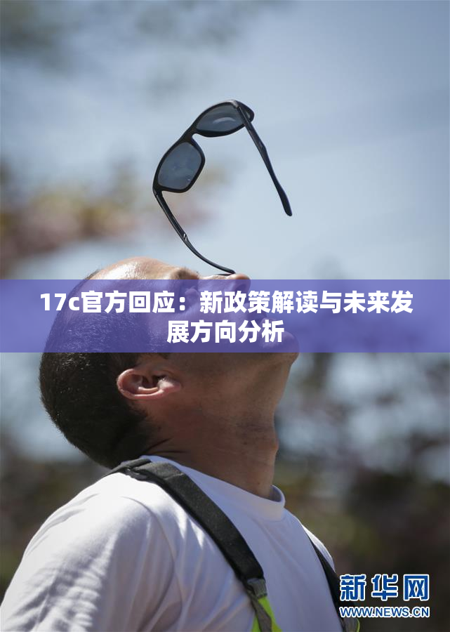 17c官方回应：新政策解读与未来发展方向分析