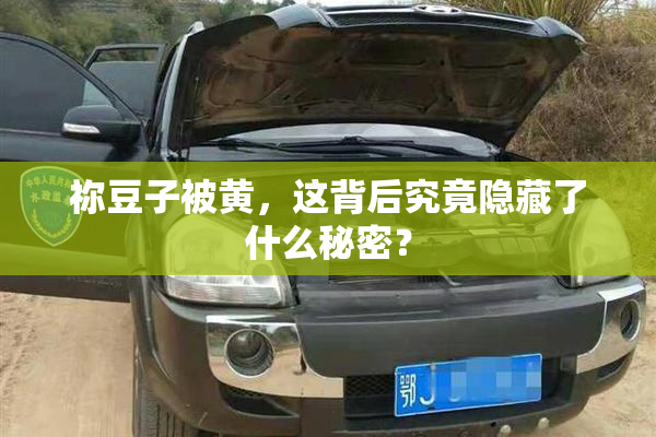 祢豆子被黄，这背后究竟隐藏了什么秘密？