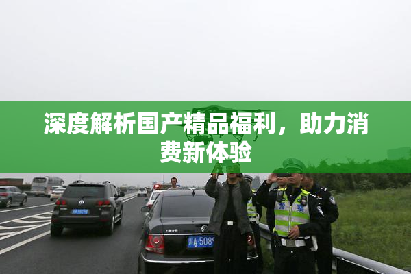 深度解析国产精品福利，助力消费新体验