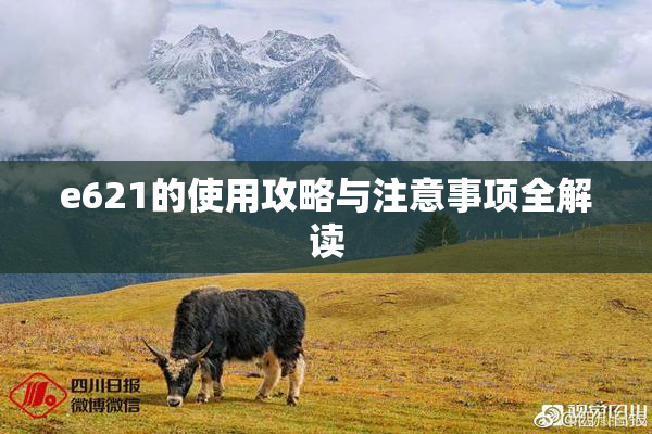 e621的使用攻略与注意事项全解读