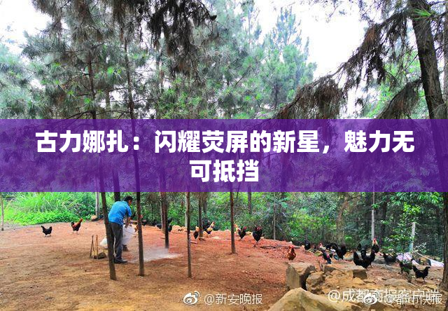 古力娜扎：闪耀荧屏的新星，魅力无可抵挡