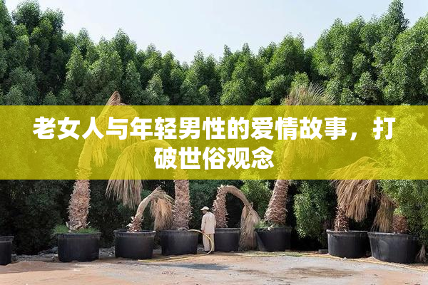 老女人与年轻男性的爱情故事，打破世俗观念