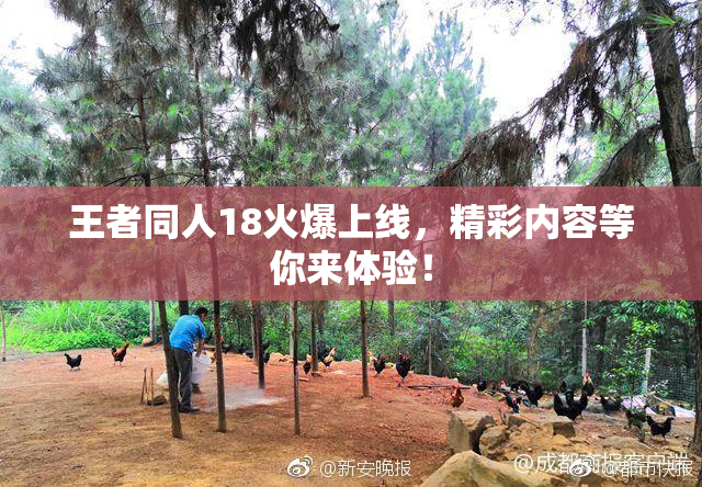 王者同人18火爆上线，精彩内容等你来体验！