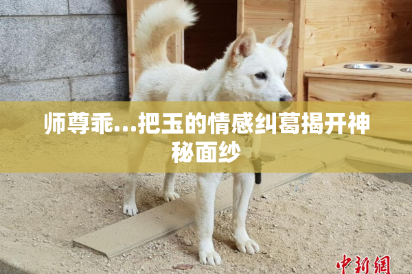 师尊乖…把玉的情感纠葛揭开神秘面纱