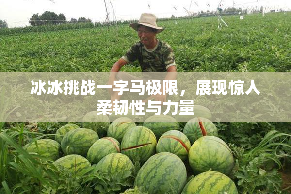 冰冰挑战一字马极限，展现惊人柔韧性与力量