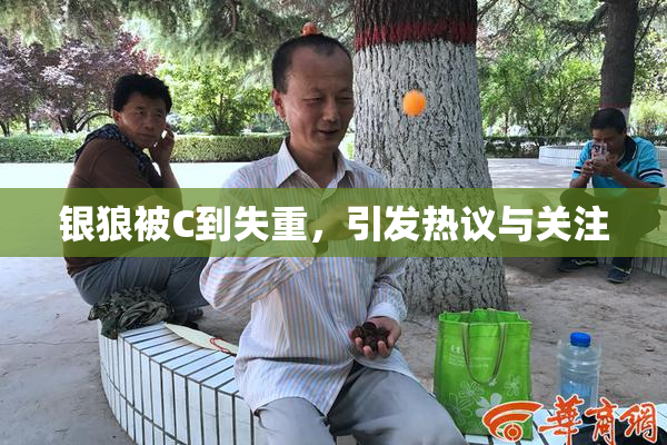 银狼被C到失重，引发热议与关注