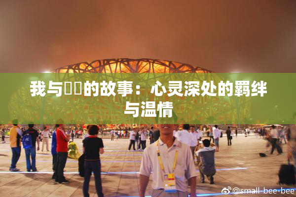 我与妺妺的故事：心灵深处的羁绊与温情