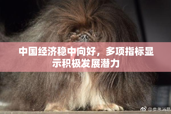 中国经济稳中向好，多项指标显示积极发展潜力