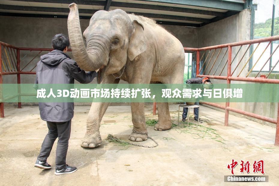 成人3D动画市场持续扩张，观众需求与日俱增