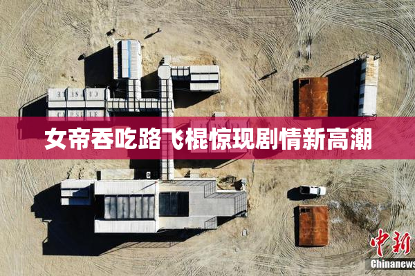 女帝吞吃路飞棍惊现剧情新高潮