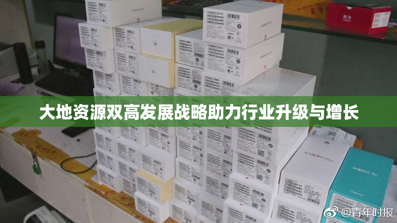 大地资源双高发展战略助力行业升级与增长