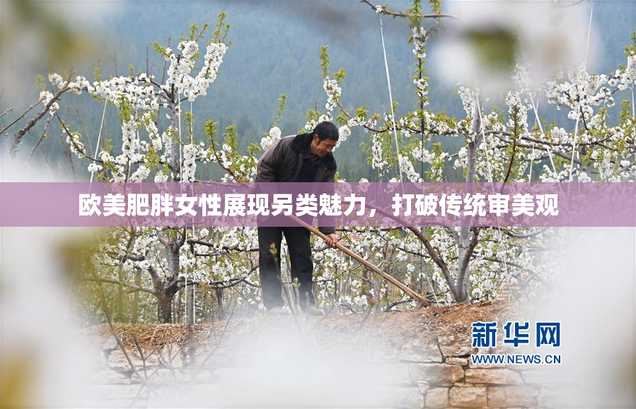 欧美肥胖女性展现另类魅力，打破传统审美观