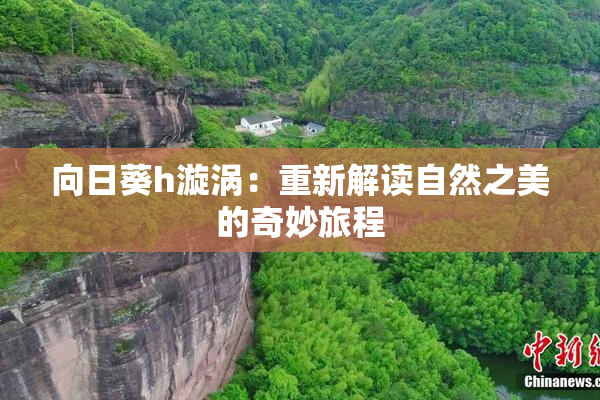 向日葵h漩涡：重新解读自然之美的奇妙旅程
