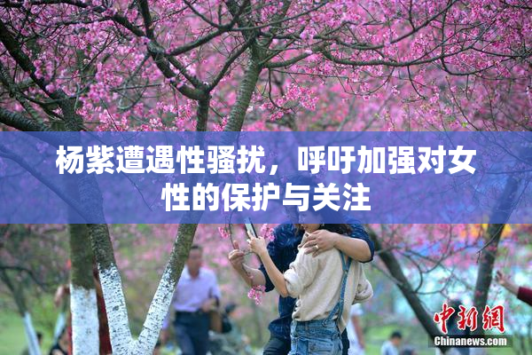 杨紫遭遇性骚扰，呼吁加强对女性的保护与关注