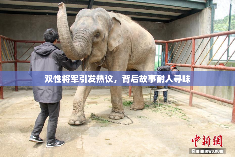 双性将军引发热议，背后故事耐人寻味