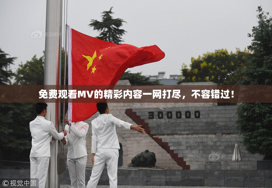 免费观看MV的精彩内容一网打尽，不容错过！