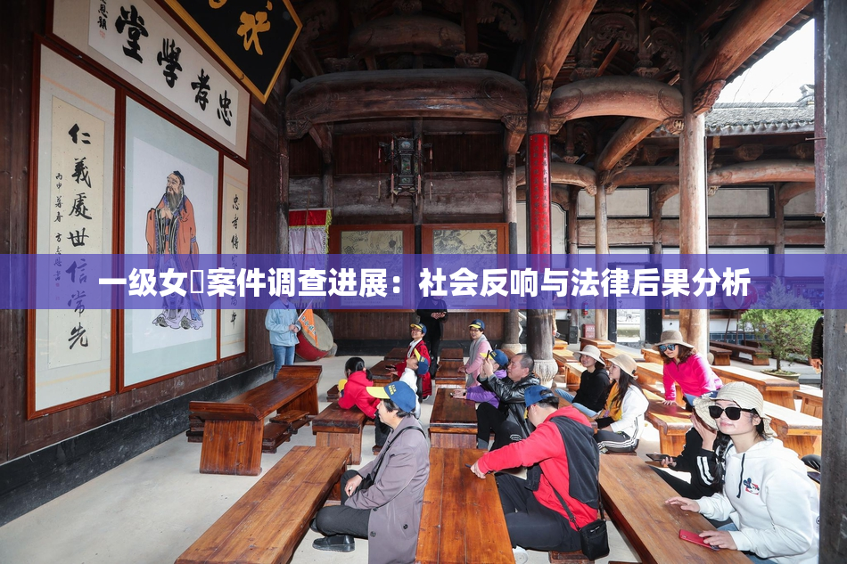 一级女婬案件调查进展：社会反响与法律后果分析