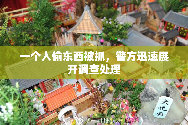 一个人偷东西被抓，警方迅速展开调查处理