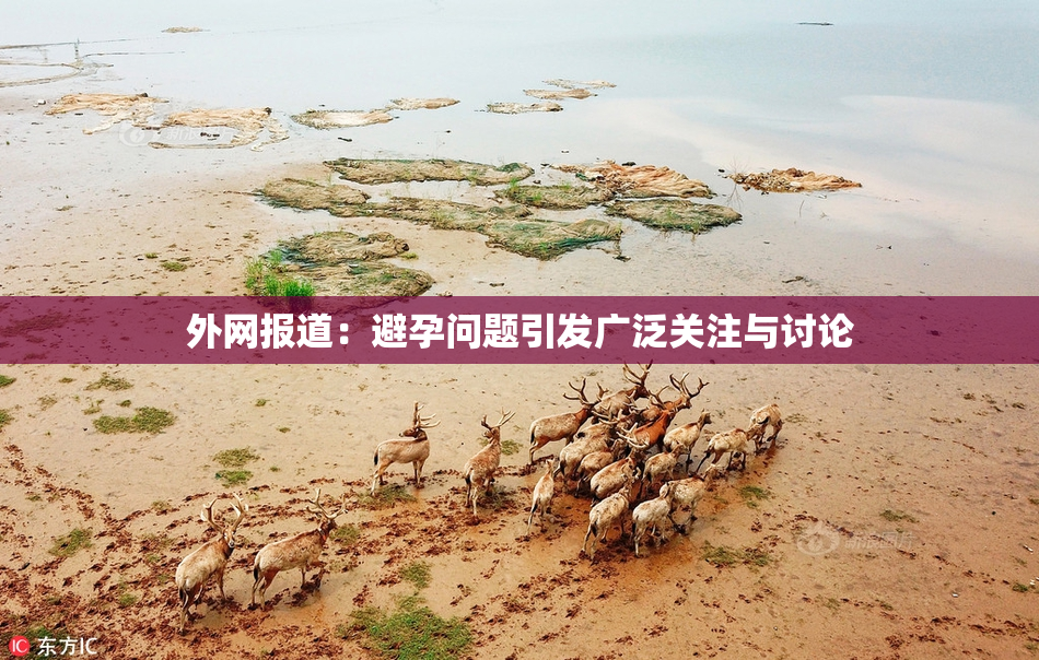 外网报道：避孕问题引发广泛关注与讨论
