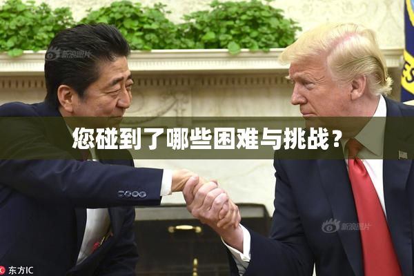 您碰到了哪些困难与挑战？