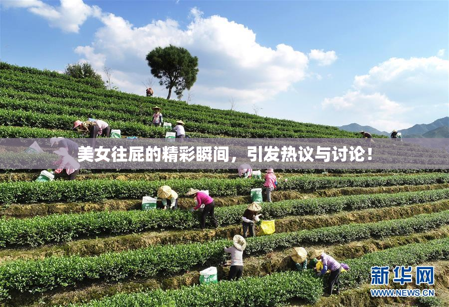美女往屁的精彩瞬间，引发热议与讨论！