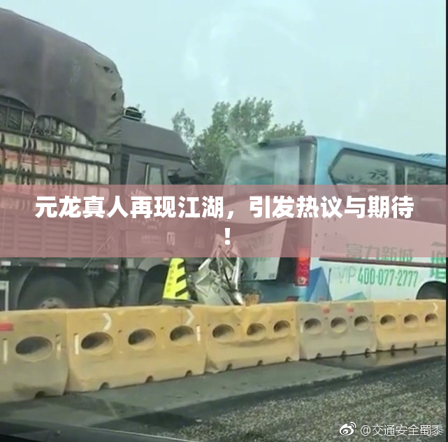 元龙真人再现江湖，引发热议与期待！