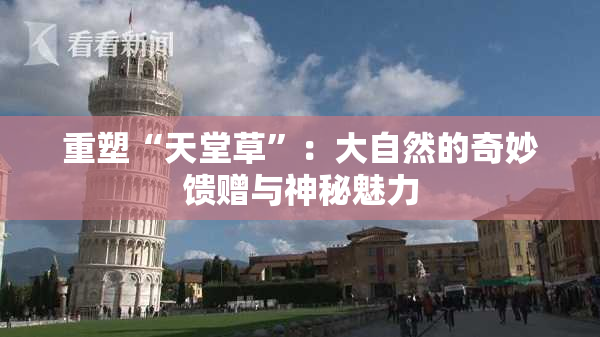 重塑“天堂草”：大自然的奇妙馈赠与神秘魅力