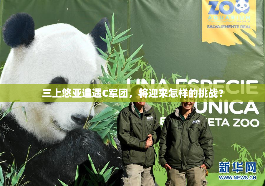 三上悠亚遭遇C军团，将迎来怎样的挑战？
