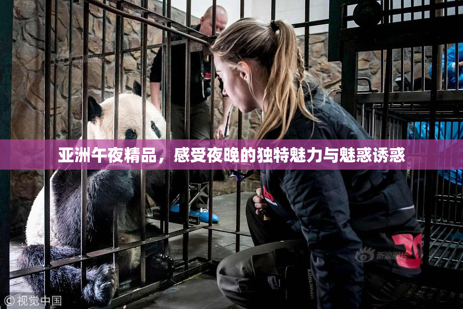 亚洲午夜精品，感受夜晚的独特魅力与魅惑诱惑