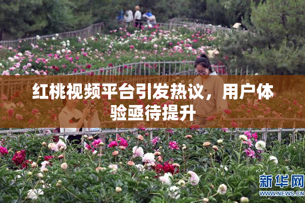 红桃视频平台引发热议，用户体验亟待提升