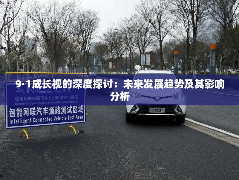 9·1成长视的深度探讨：未来发展趋势及其影响分析