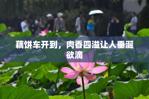 藕饼车开到，肉香四溢让人垂涎欲滴