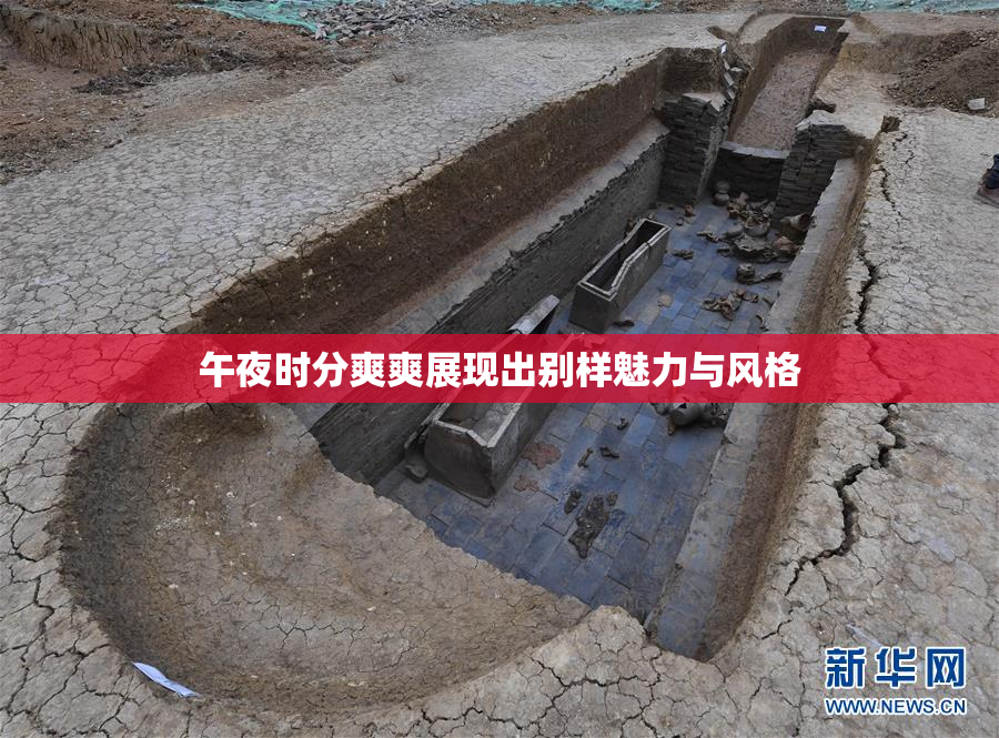午夜时分爽爽展现出别样魅力与风格