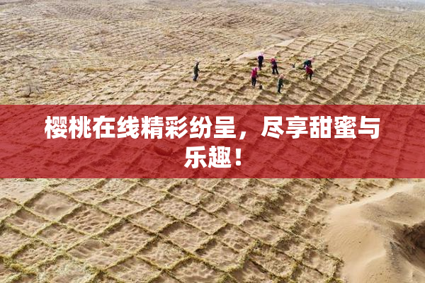 樱桃在线精彩纷呈，尽享甜蜜与乐趣！