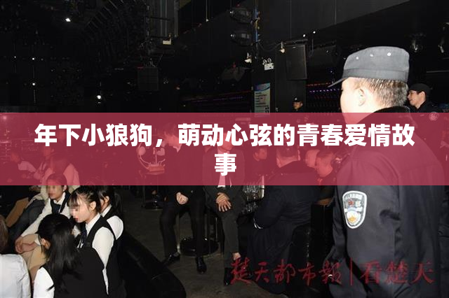 年下小狼狗，萌动心弦的青春爱情故事