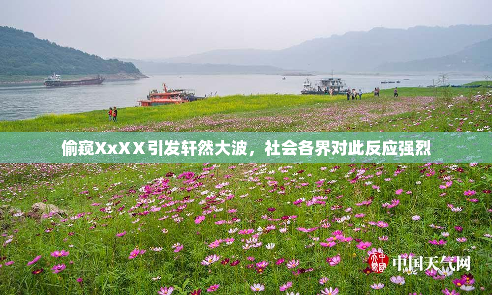 偷窥XxXⅩ引发轩然大波，社会各界对此反应强烈
