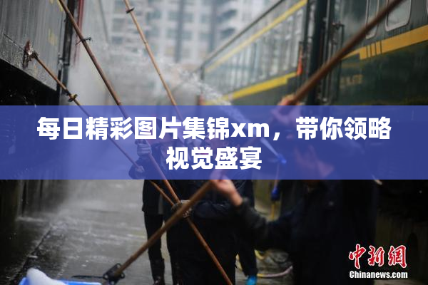 每日精彩图片集锦xm，带你领略视觉盛宴