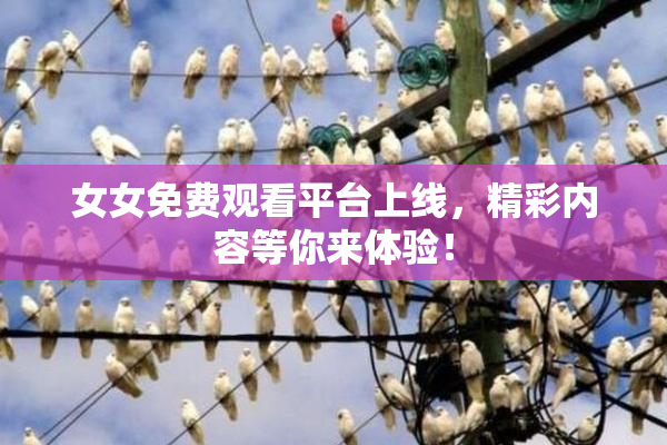 女女免费观看平台上线，精彩内容等你来体验！